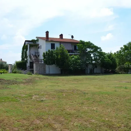 Niki Pula