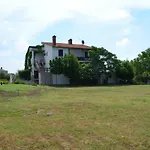 Niki Pula