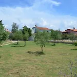 Niki Pula